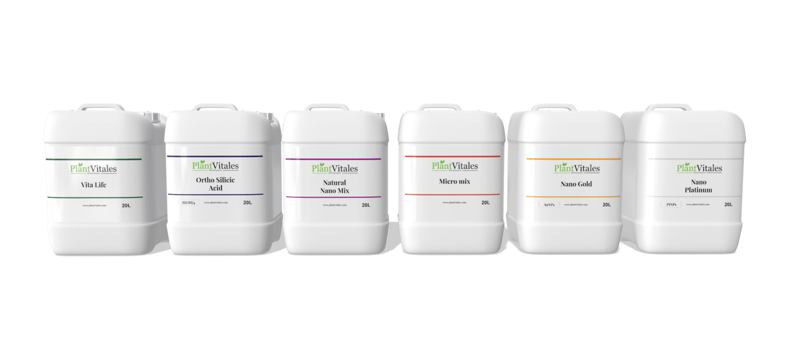 Render Mockup 3840 1712 2025 10 10 1536x685 1